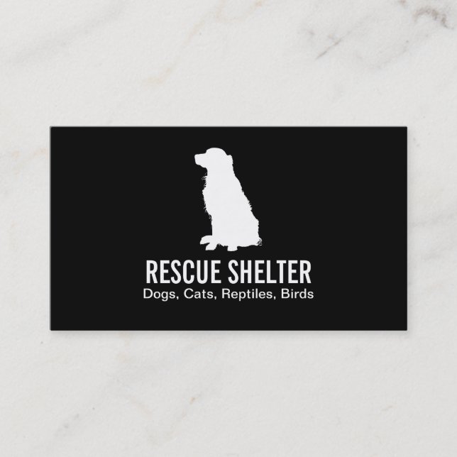 Carte De Visite Chien assis | vétérinaire (Devant)
