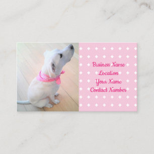 Carte De Visite Chien blanc mignon portant Écharpe rose animal