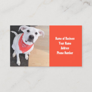 Carte De Visite Chien blanc mignon portant l'écaille orange