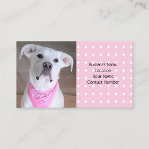 Carte De Visite Chien blanc mignon portant une écusson rose