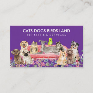 Carte De Visite Chien Chat Bird Hotel Sofa Animaux domestiques Ass