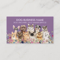 Chien Chat de compagnie violet