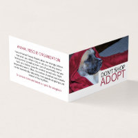 Chien dans une couverture rouge, adoption de anima