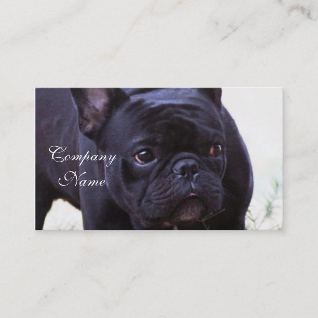 Carte De Visite Chien de bouledogue français (Devant)