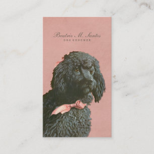 Carte De Visite Chien de caniche vintage toilettant élégant animal
