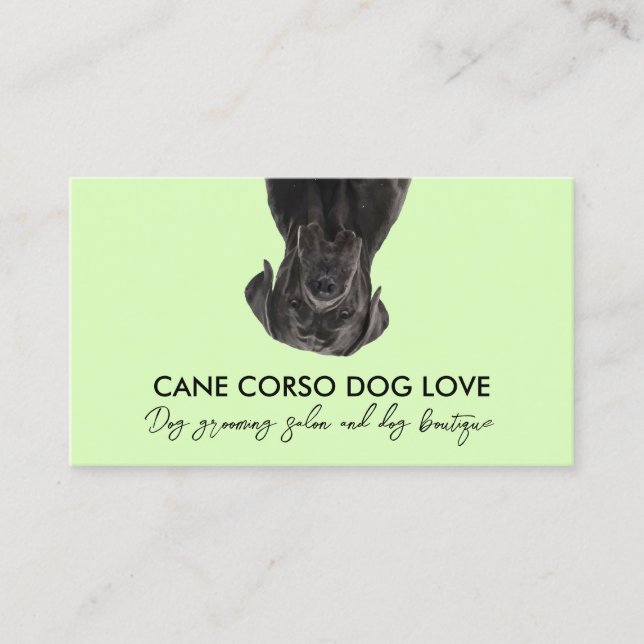 Carte De Visite Chien de corso en canne noire verte (Devant)