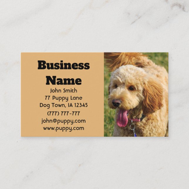 Carte De Visite Chien de Goldendoodle (Devant)