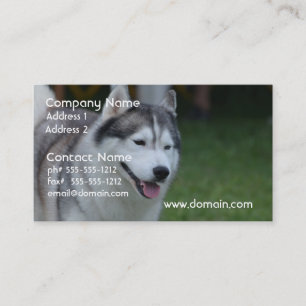 Carte De Visite Chien de traîneau doux