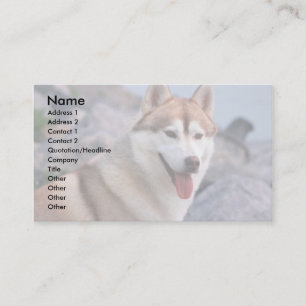 Carte De Visite Chien de traîneau sibérien