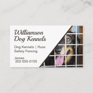 Carte De Visite Chien Kennels Wire Fencing