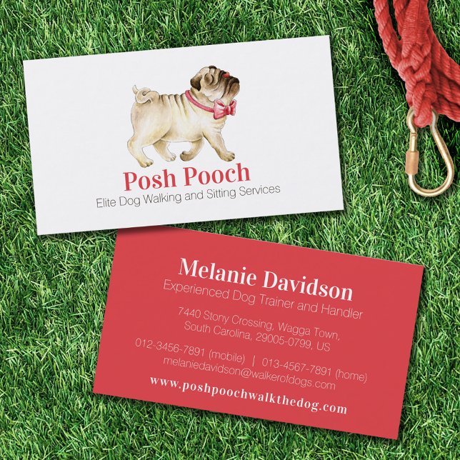 Carte De Visite Chien marche et service assis chic carlin rouge (Créateur téléchargé)