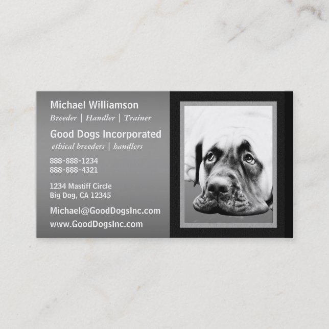 Carte De Visite Chien mignon de mastiff (Devant)