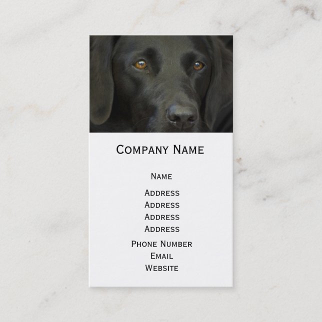 Carte De Visite Chien noir de Labrador (Devant)
