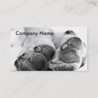 Carte De Visite Chien Paws