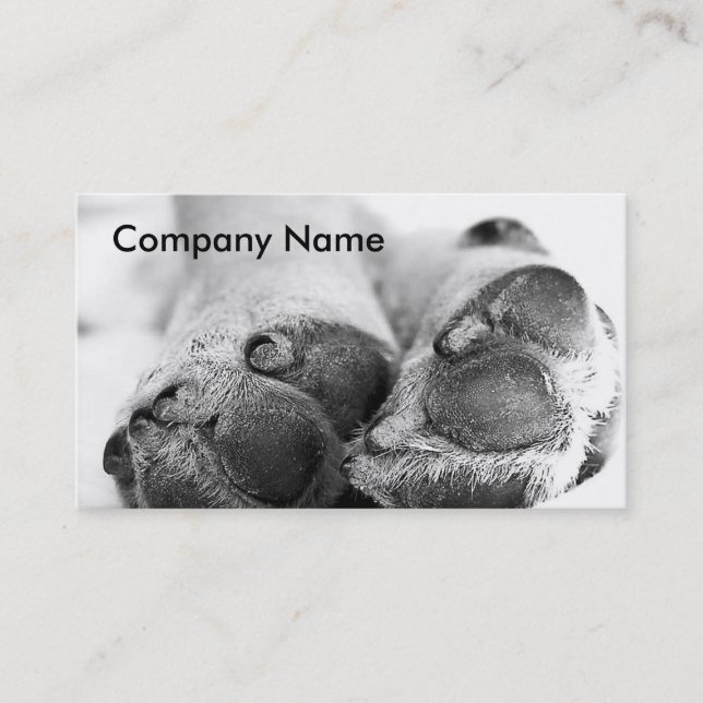 Carte De Visite Chien Paws (Devant)
