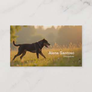 Carte De Visite Chien Rotweiller