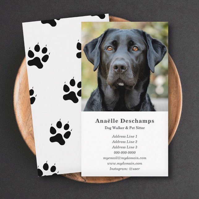 Carte De Visite Chien Walker Animaux de compagnie Sitter Photo per (Dog Walker Pet Sitter Custom Photo White Business Card)