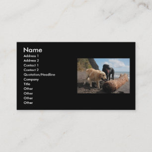 Carte De Visite Chiens à la plage