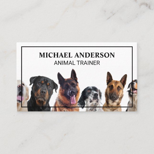 Carte De Visite Chiens assis | Entraîneur de chiens (Devant)
