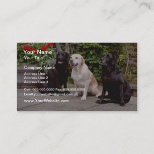 Carte De Visite Chiens d'arrêt de Labrador du blanc trois reposant