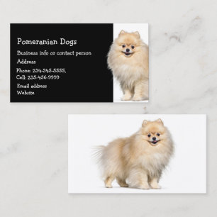 Carte De Visite Chiens de Poméranie éleveur Animaux de compagnie