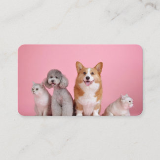 Carte De Visite Chiens et chats