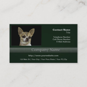 Carte De Visite Chihuahua avec une attitude