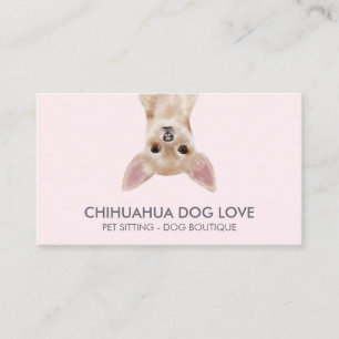 Carte De Visite Chihuahua Chig