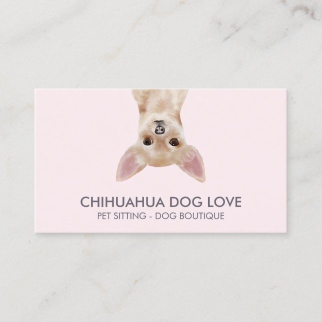 Carte De Visite Chihuahua Chig (Devant)