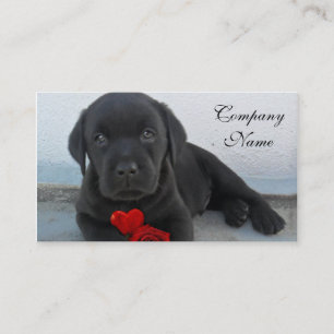Carte De Visite Chiot de Labrador de Valentine