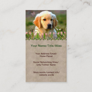 Carte De Visite Chiot d'or d'Austin Labrador
