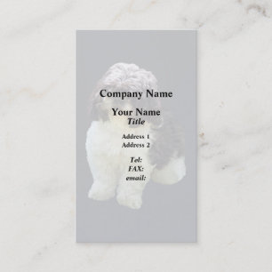 Carte De Visite Chiot Shih Tzu Adorable