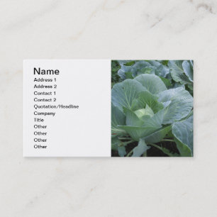 Carte De Visite Choux