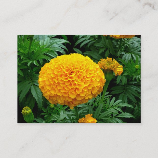 Carte De Visite Chrysanthème orange (Devant)