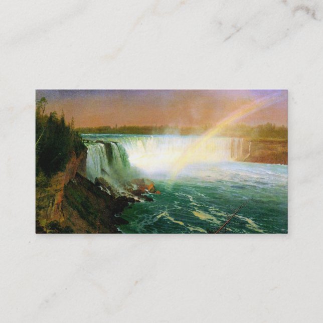 Carte De Visite Chutes du Niagara peignant l'artiste Albert (Devant)