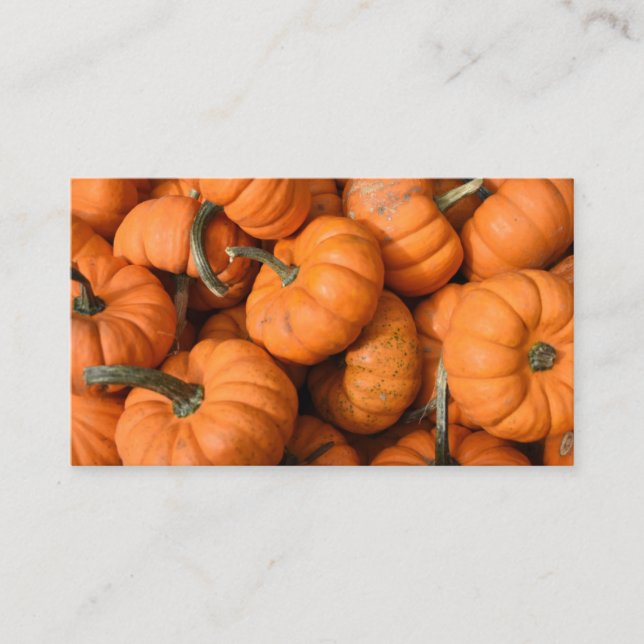Carte De Visite Citrouille Patch Orange Harvest Garden Gourds Phot (Devant)
