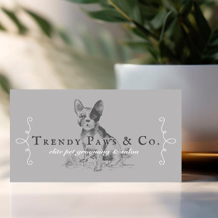 Carte De Visite Classé Boutique Style Animaux Salon Français Bulld