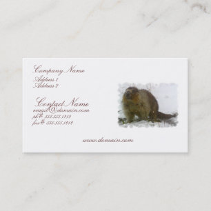 Carte de visite classique de castor
