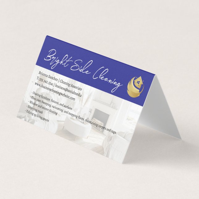Carte De Visite Cleaning Duster Home Logo | Tidy Living Room (Devant)