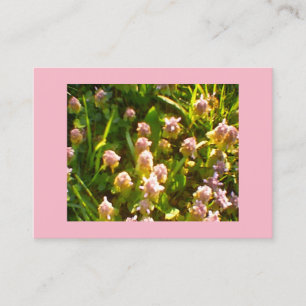 Carte De Visite Clocher rose
