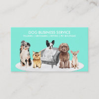 Club Social pour Petits Chiens