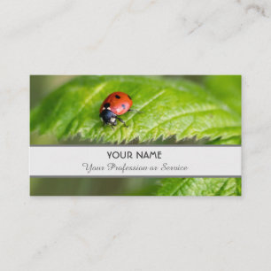 Carte De Visite coccinelle positive et chanceuse pour zen et éduca