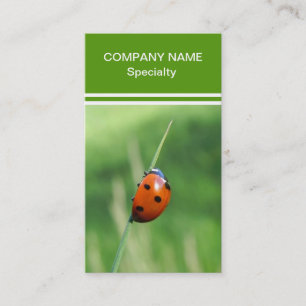 Carte De Visite Coccinelle sur une lame d'herbe