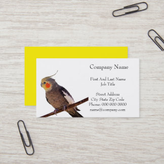 Carte De Visite Cockatiel gris et jaune Pet Oiseau couleur photo