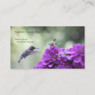 Carte De Visite Colibri aux dahlias violets