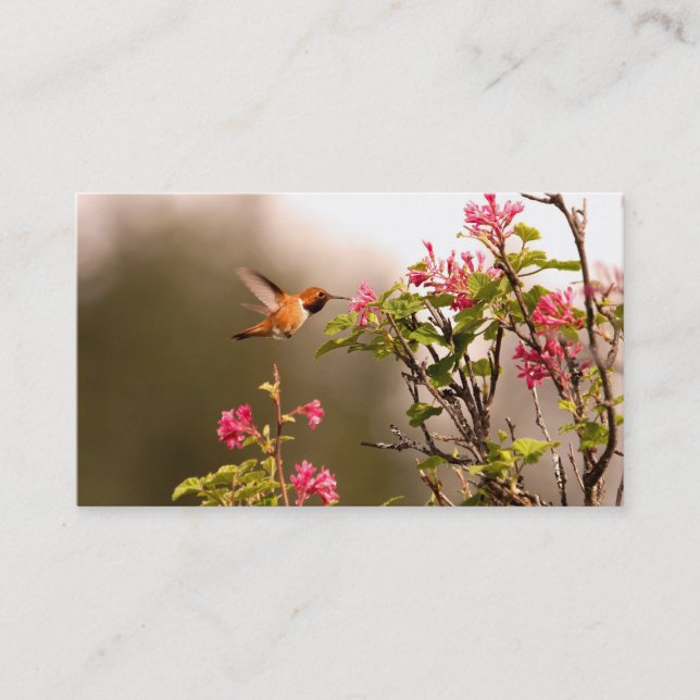 Carte De Visite Colibri et fleurs (Devant)