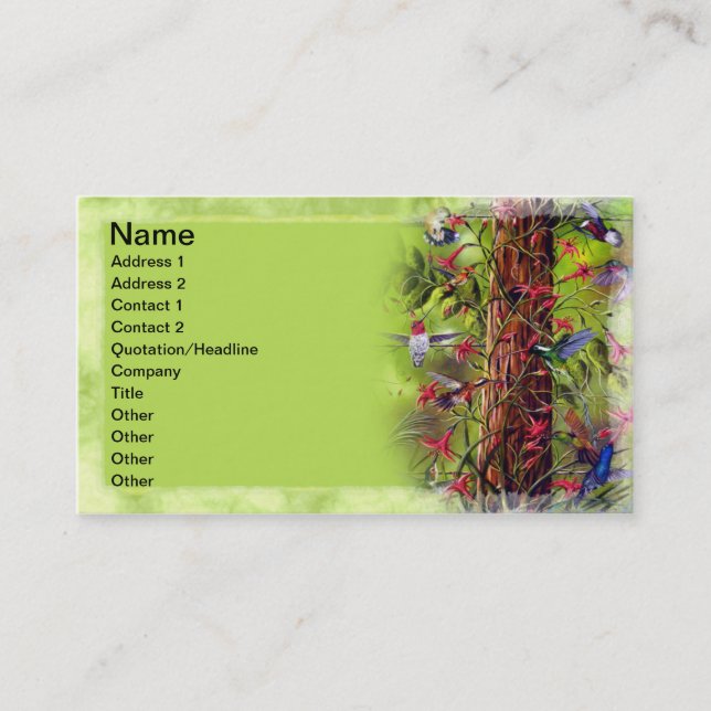 Carte De Visite Colibris (Devant)