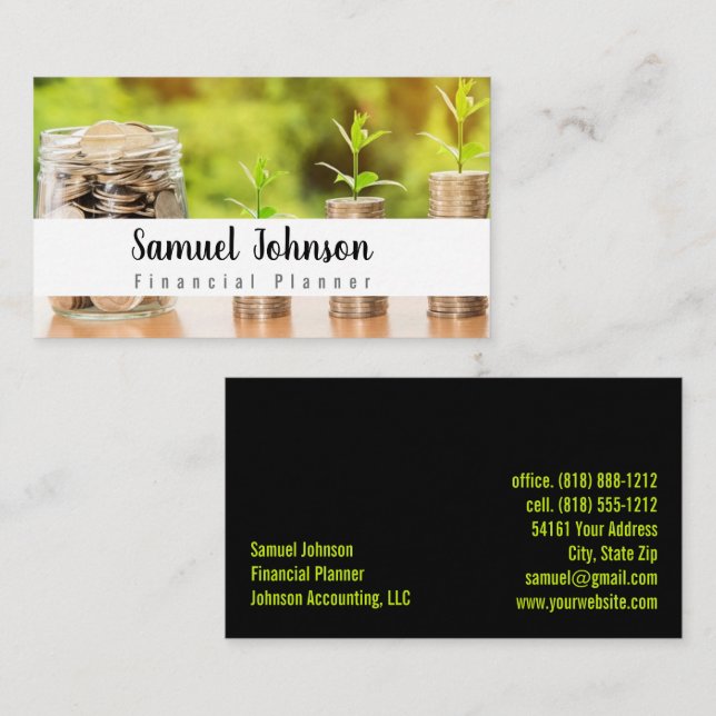 Carte De Visite Comptable de planificateur financier professionnel (Devant / Derrière)