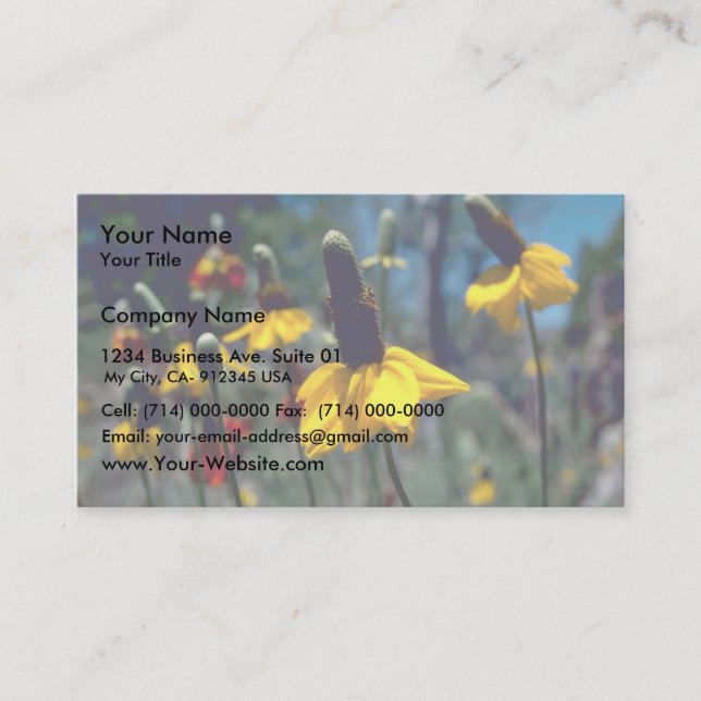 Carte De Visite Coneflowers (Devant)