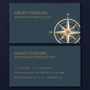 Carte De Visite Consultant en entreprise Boussole nautique Profess